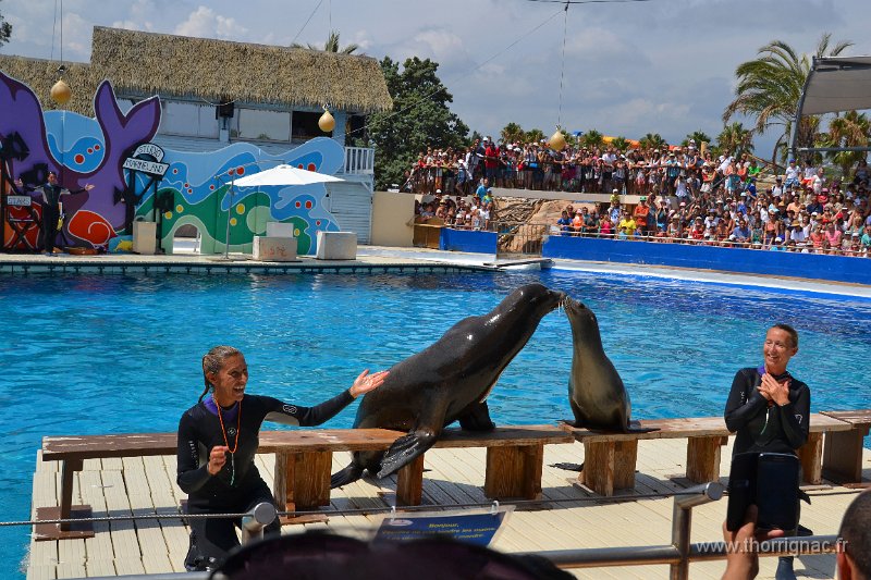 Marineland aout 2014 69.JPG - Marineland - Parc d'attractions aquatiques - Antibes - Août 2014